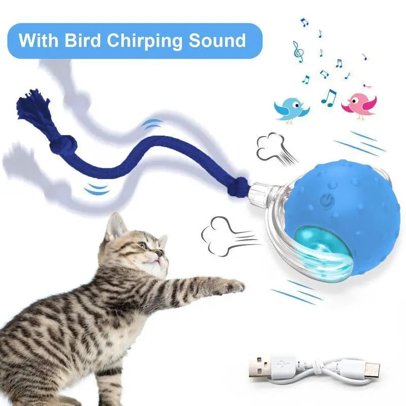 【2026 Newest】Fun Cat Dog Toy Ball, Smart Rolling Design with Textured Surface & Nylon Tail, Interactive Toy for Indoor Cats