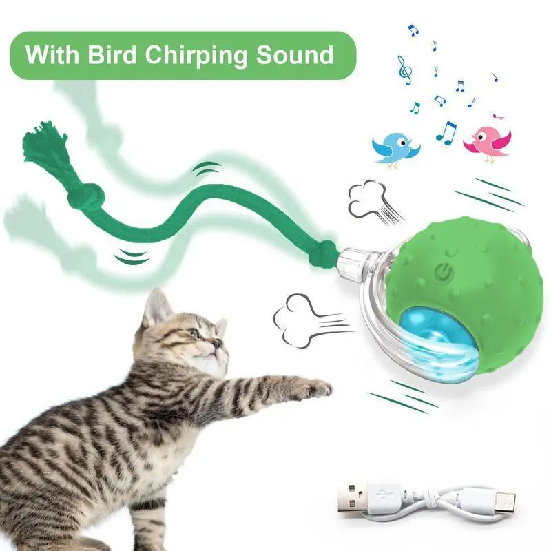 【2026 Newest】Fun Cat Dog Toy Ball, Smart Rolling Design with Textured Surface & Nylon Tail, Interactive Toy for Indoor Cats
