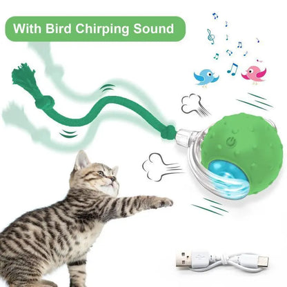 【2026 Newest】Fun Cat Dog Toy Ball, Smart Rolling Design with Textured Surface & Nylon Tail, Interactive Toy for Indoor Cats