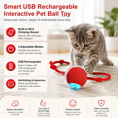 【2026 Newest】Fun Cat Dog Toy Ball, Smart Rolling Design with Textured Surface & Nylon Tail, Interactive Toy for Indoor Cats