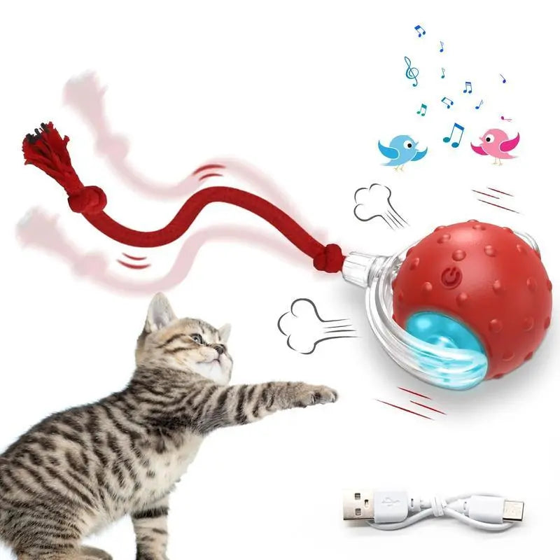 【2026 Newest】Fun Cat Dog Toy Ball, Smart Rolling Design with Textured Surface & Nylon Tail, Interactive Toy for Indoor Cats