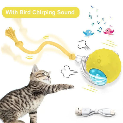 【2026 Newest】Fun Cat Dog Toy Ball, Smart Rolling Design with Textured Surface & Nylon Tail, Interactive Toy for Indoor Cats