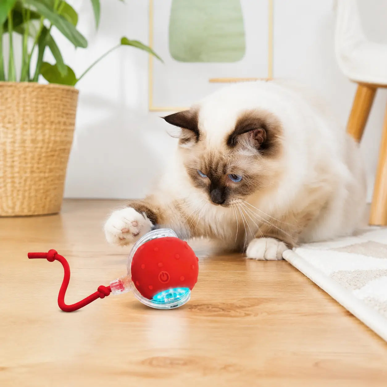 【2026 Newest】Fun Cat Dog Toy Ball, Smart Rolling Design with Textured Surface & Nylon Tail, Interactive Toy for Indoor Cats