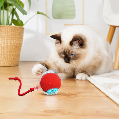 【2026 Newest】Fun Cat Dog Toy Ball, Smart Rolling Design with Textured Surface & Nylon Tail, Interactive Toy for Indoor Cats