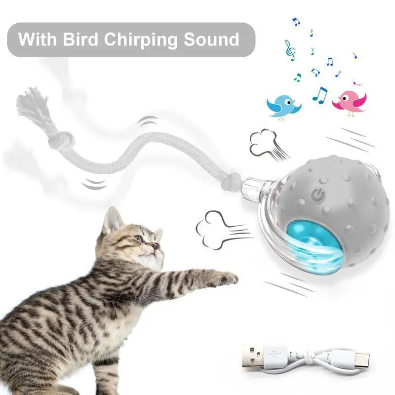 【2026 Newest】Fun Cat Dog Toy Ball, Smart Rolling Design with Textured Surface & Nylon Tail, Interactive Toy for Indoor Cats