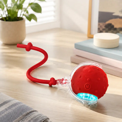 【2026 Newest】Fun Cat Dog Toy Ball, Smart Rolling Design with Textured Surface & Nylon Tail, Interactive Toy for Indoor Cats