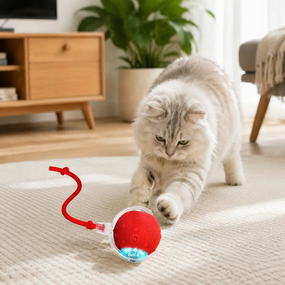 【2026 Newest】Fun Cat Dog Toy Ball, Smart Rolling Design with Textured Surface & Nylon Tail, Interactive Toy for Indoor Cats
