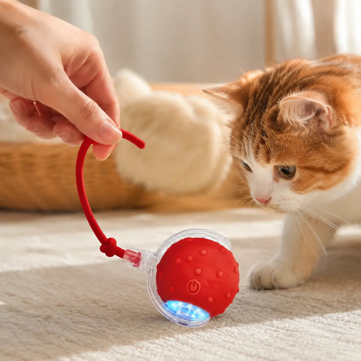 【2026 Newest】Fun Cat Dog Toy Ball, Smart Rolling Design with Textured Surface & Nylon Tail, Interactive Toy for Indoor Cats