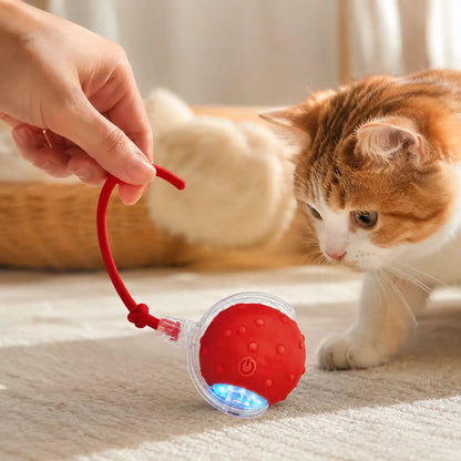 【2026 Newest】Fun Cat Dog Toy Ball, Smart Rolling Design with Textured Surface & Nylon Tail, Interactive Toy for Indoor Cats